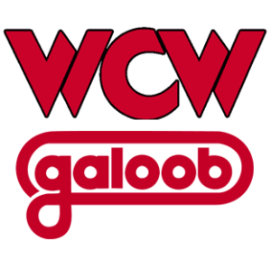 WCW Galoob